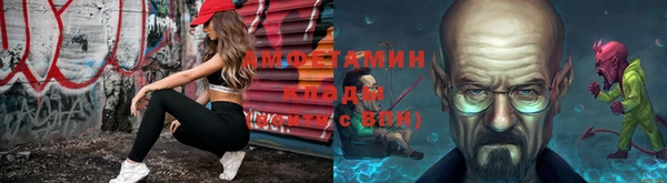 дмт Алексин
