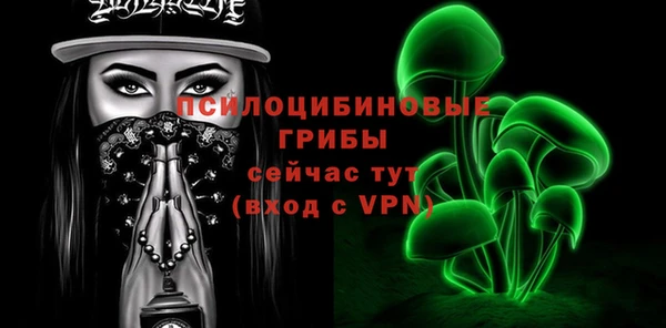 индика Алексеевка