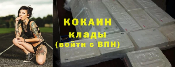 индика Алексеевка