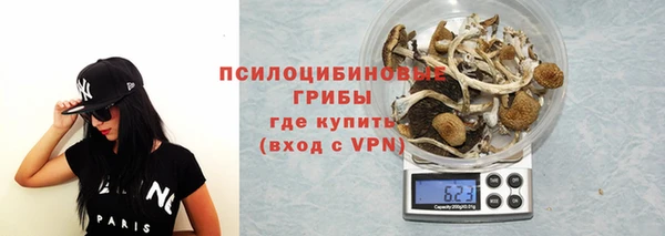 индика Алексеевка